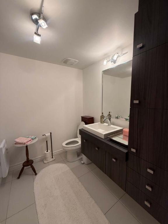 Appartement 4 1/2 PLUS - 2 chambres et 2 salles de bain 4