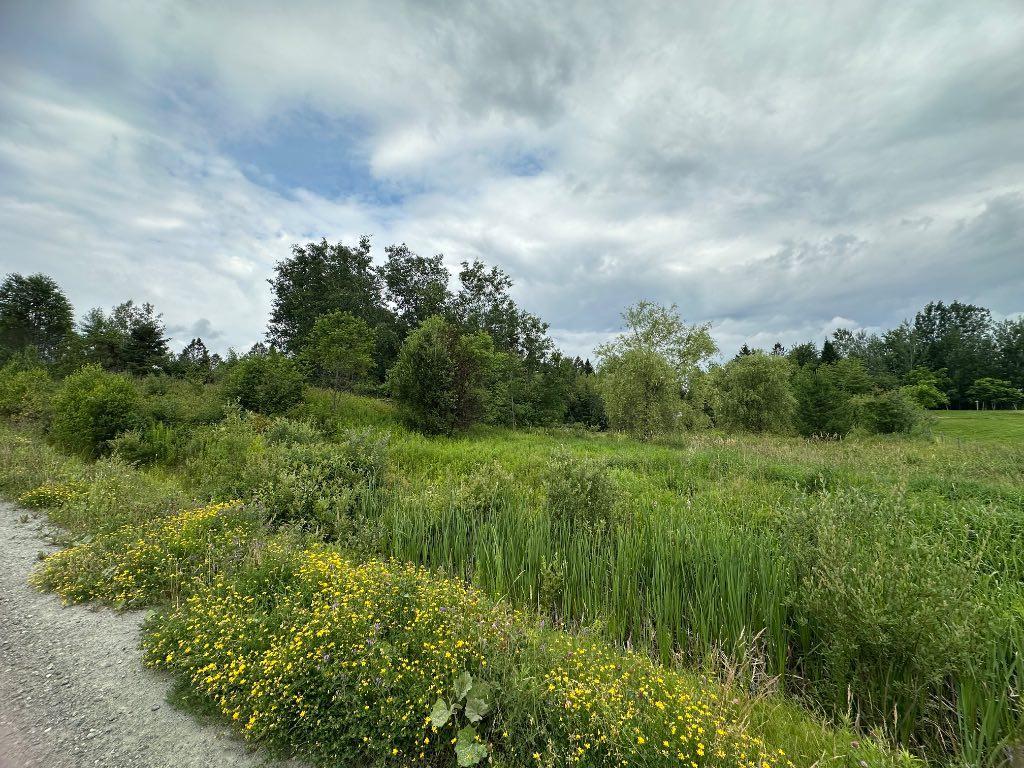 Terrain à Vendre à Stoke — photo 2