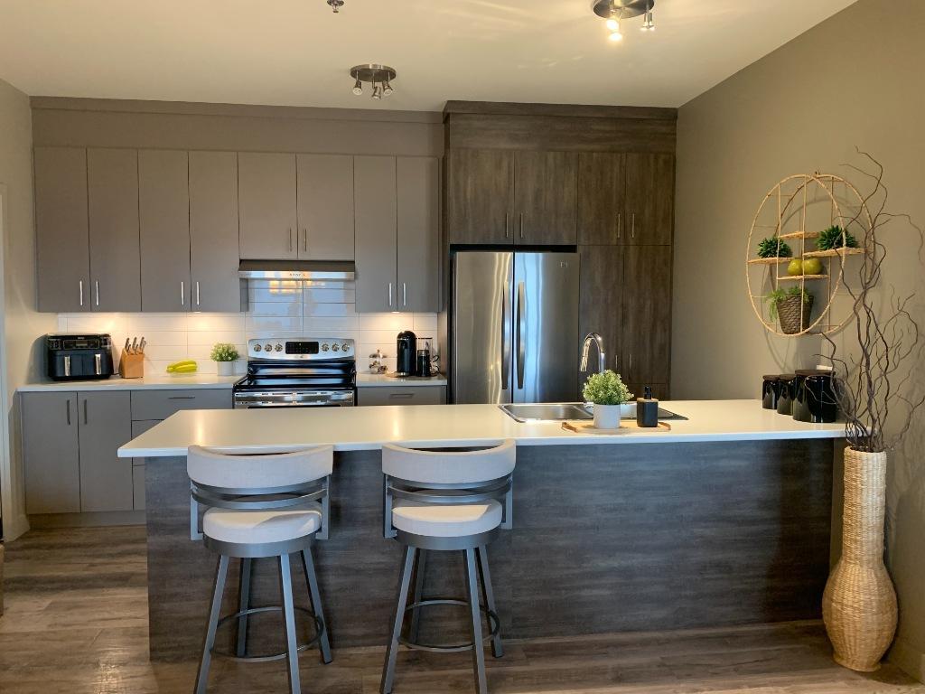 Grand 4 1/2 avec Garage et un 2e stationnement extérieur - Disponible 1er déc. Qualité supérieur 4