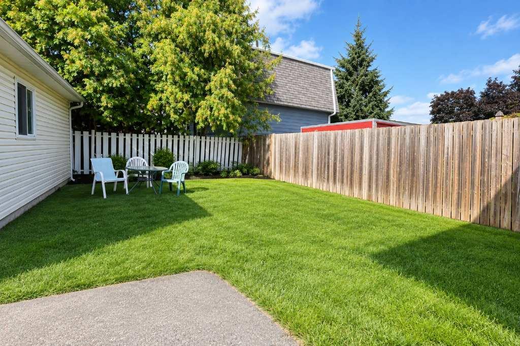 3 1/2 – 1 Chambre – Électros Inclus – Dispo 9 Oct 2