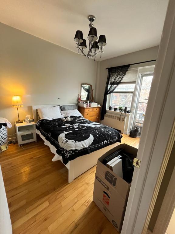 Pemier Mois Gratuit! 3 1/2 Transfert de Bail Mont-Royal 3