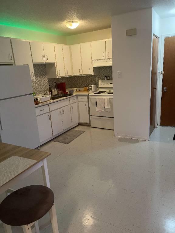 3½ à louer – 950 $/mois | Sherbrooke Est 5