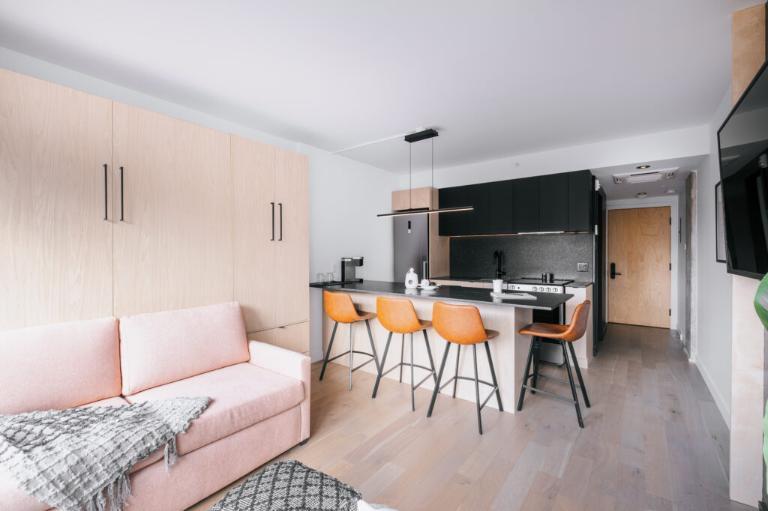 Loft studio entièrement meublé à louer Saint-Jean-Baptiste janvier 2026 4