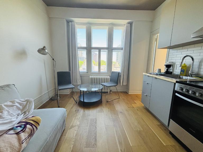 Loft studio entièrement meublé à louer Montcalm / Saint-Sacrement février 2027 3
