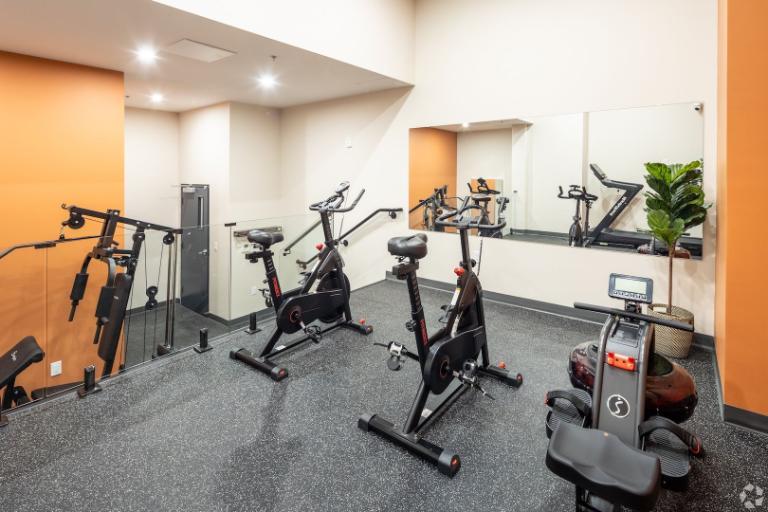 Studio - Montréal - $1,565 /mo 2