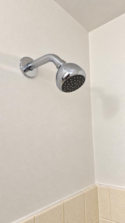 Appartement 2 1/2 À LOUER 4