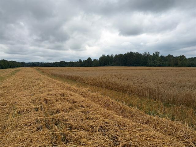 Terrain — photo 1