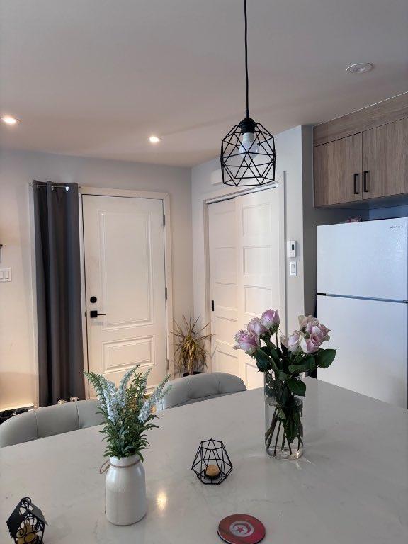 Logement 4 1/2 Sainte Agathe 3