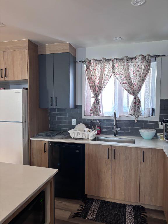 Logement 4 1/2 Sainte Agathe 4