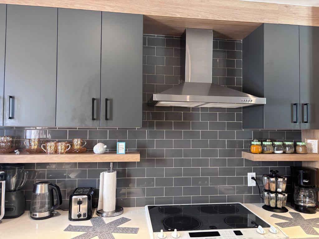 Logement 4 1/2 Sainte Agathe 5