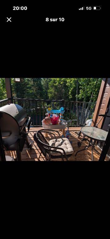 Logement 4 1/2 Sainte Agathe 2