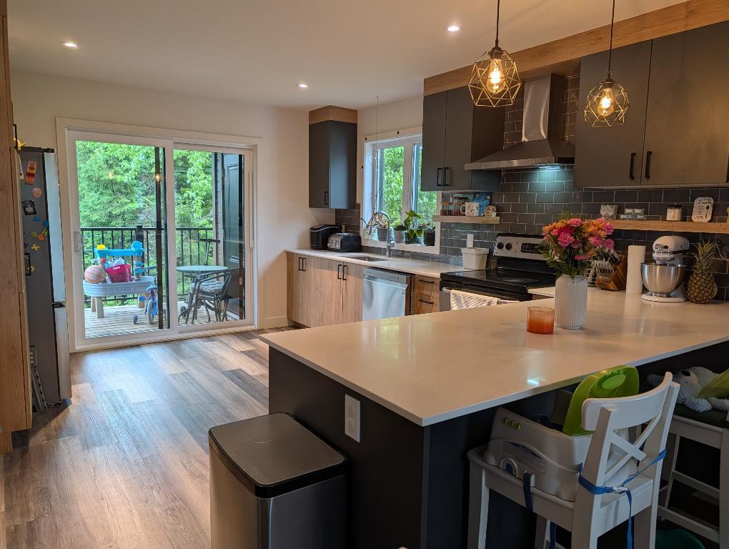 Logement 4 1/2 Sainte Agathe 4