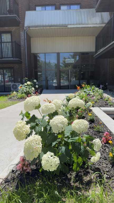 3 1/2 et 4 1/2 Condo style, tout compris, très grand, Pierrefonds 1595$ 1