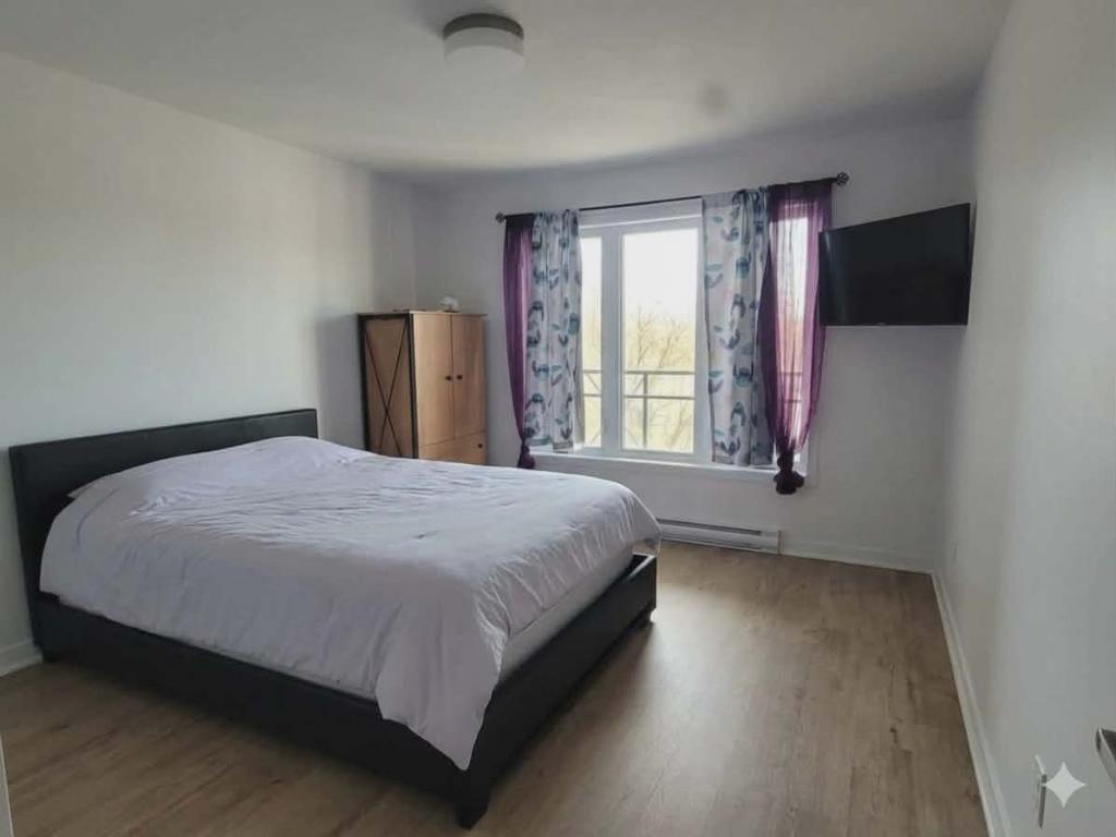Magnifique condo à louer Chambly chien 15- ACCEPTÉ 3