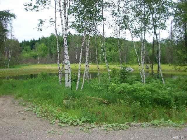 Terrain — photo 1