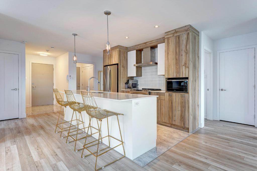 5 1/2 GRAND ET LUXUEUX- NOUVELLE CONSTRUCTION 2