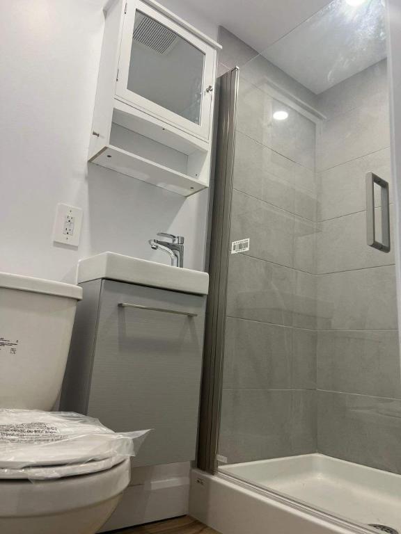 Studio - Montréal - $1,245 /mo 3