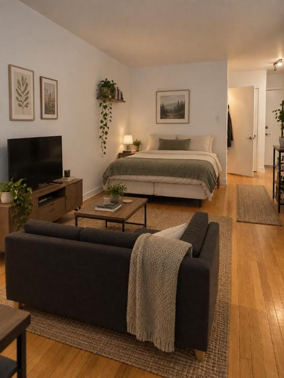 Studio - Montréal - $1,095 /mo