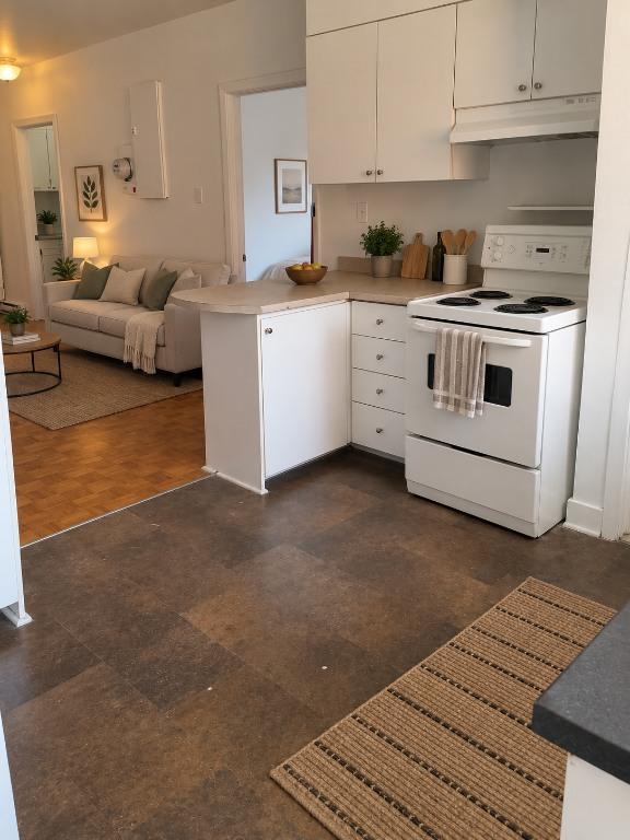 LOGEMENT 6½ SUR LE PLATEAU MONT-ROYAL 2