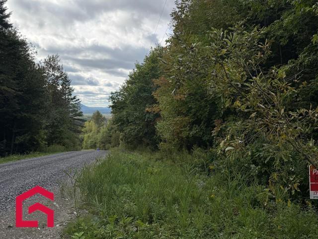 Terrain — photo 2