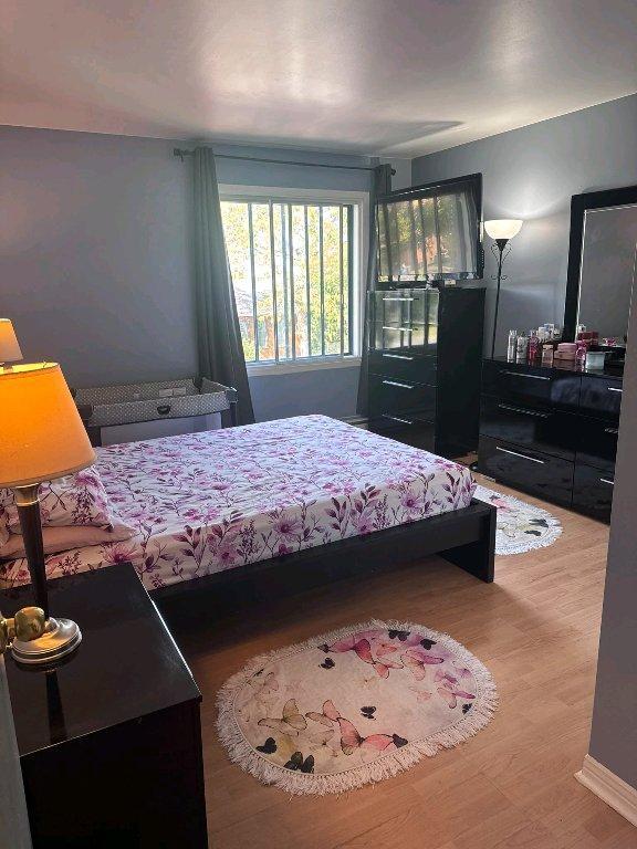 Appartement 4 et demi a louer 2