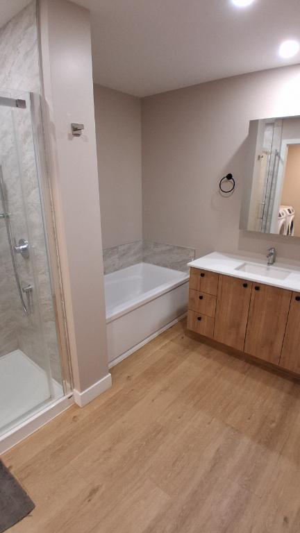 Appartement de 2 chambres et 1 salle de bain 3