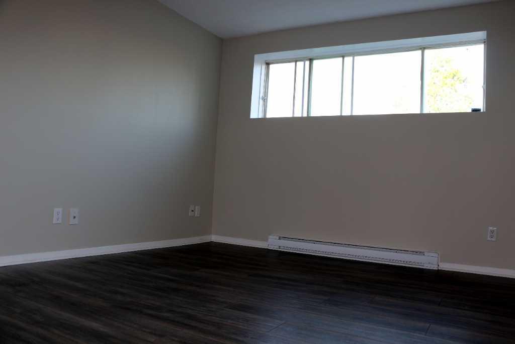 Bright, Renovated Gatineau Studio–Parking Included Ava. Immediately 3