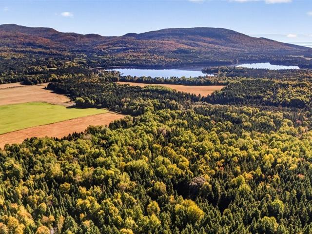 St-Tite-des-Caps (Capitale-Nationale) : Terre à bois de 109,69 acres — photo 2