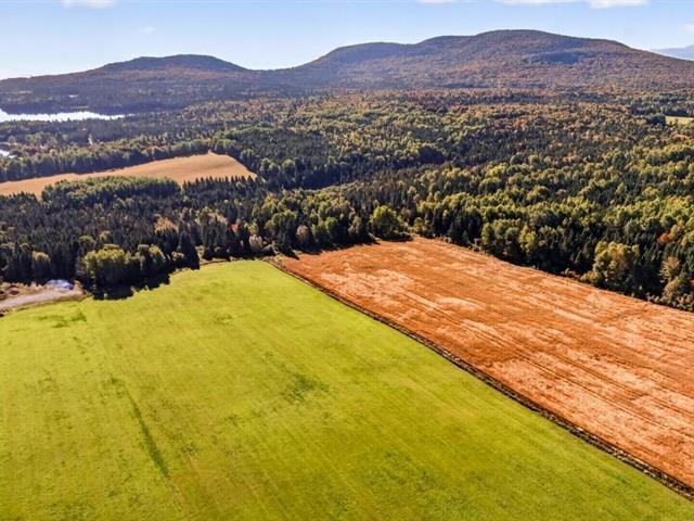 St-Tite-des-Caps (Capitale-Nationale) : Terre à bois de 109,69 acres — photo 3