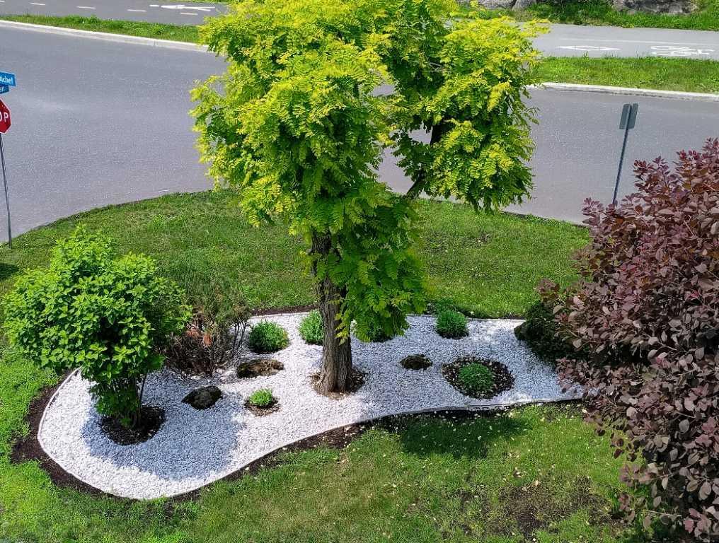 4-1/2 situé au 1er étage, clientèle 50 ans et plus 3