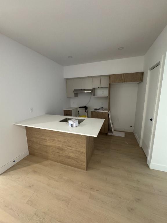 Magnifiques logements neufs à louer au centre-ville de Trois-Rivières 3