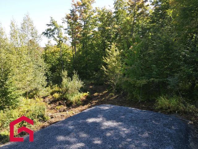 Terrain — photo 3