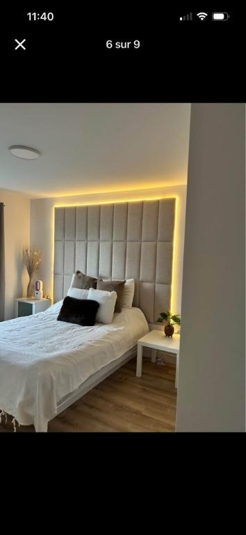 Condo locatif Saint Charles Borromée