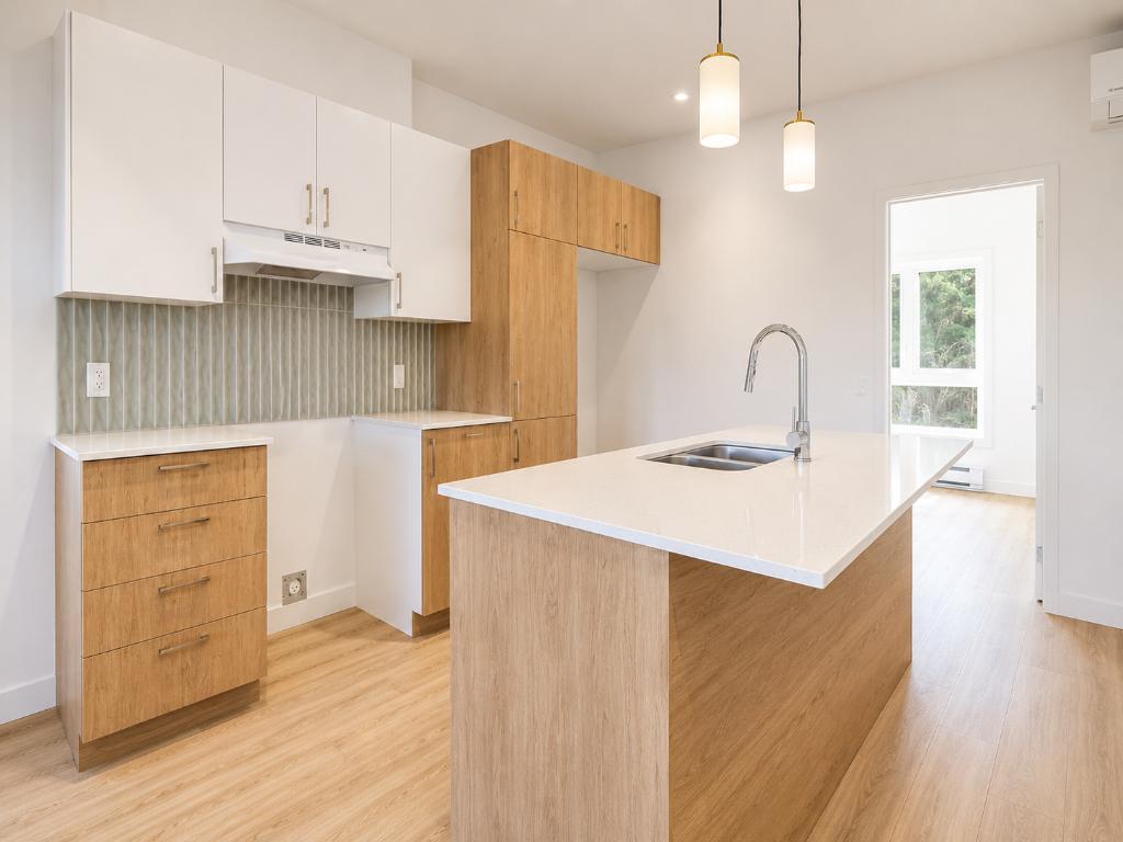 5 1/2 NEUFS DISPONIBLES – SAINTE-AGATHE-DES-MONTS - PROMOTION EN COUR 3
