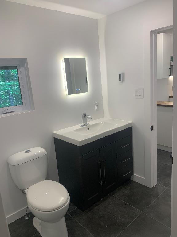 Belle petite maison fraîchement rénovée à louer 3