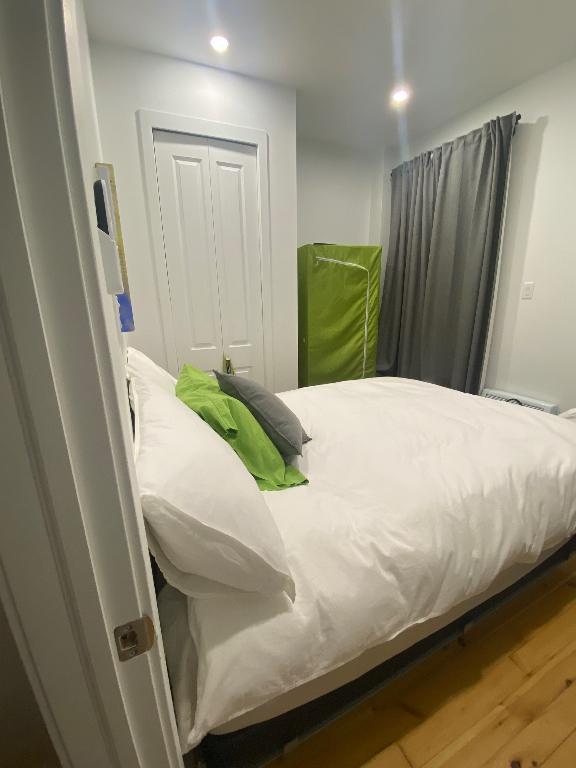 Logement rénové Plateau Mont-Royal (novembre ou décembre) 5