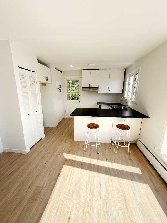 5 1/2 Vieux-Nord Hydro/électricité inclus / Duplex avec cour privée 3