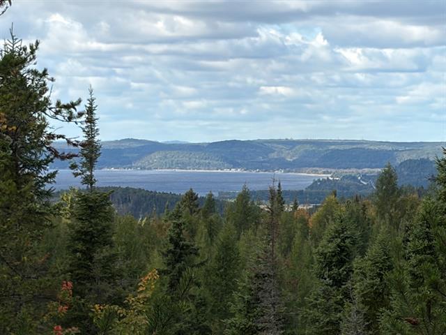 Terrain — photo 2