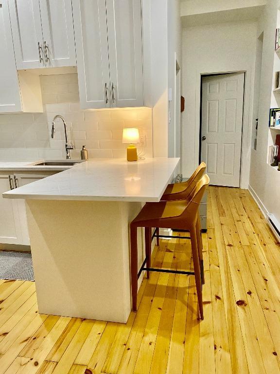 Logement rénové Plateau Mont-Royal (novembre ou décembre) 4