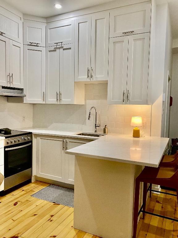Logement rénové Plateau Mont-Royal (novembre ou décembre) 3