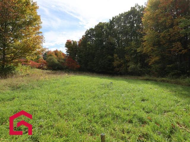 481 Route 243 — photo 2