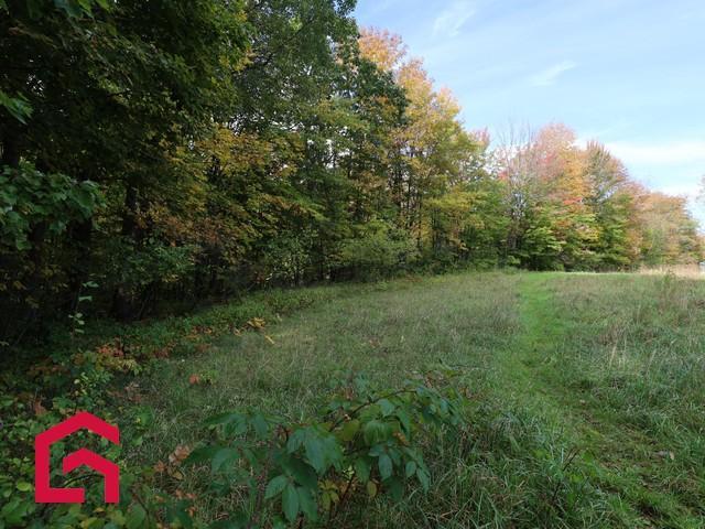 481 Route 243 — photo 3