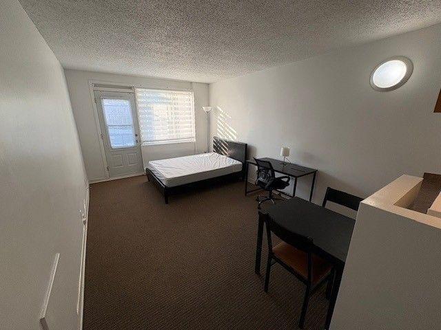 GHETTO MCGILL- STUDIO RENOVÉ & MEUBLÉ- EMPLACEMENT EXCEPTIONNEL 2