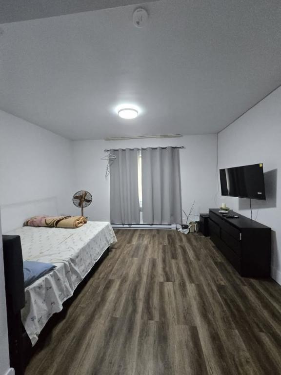Studio à louer - 875 rue Jarry Ouest 2