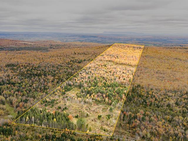Terrain — photo 2