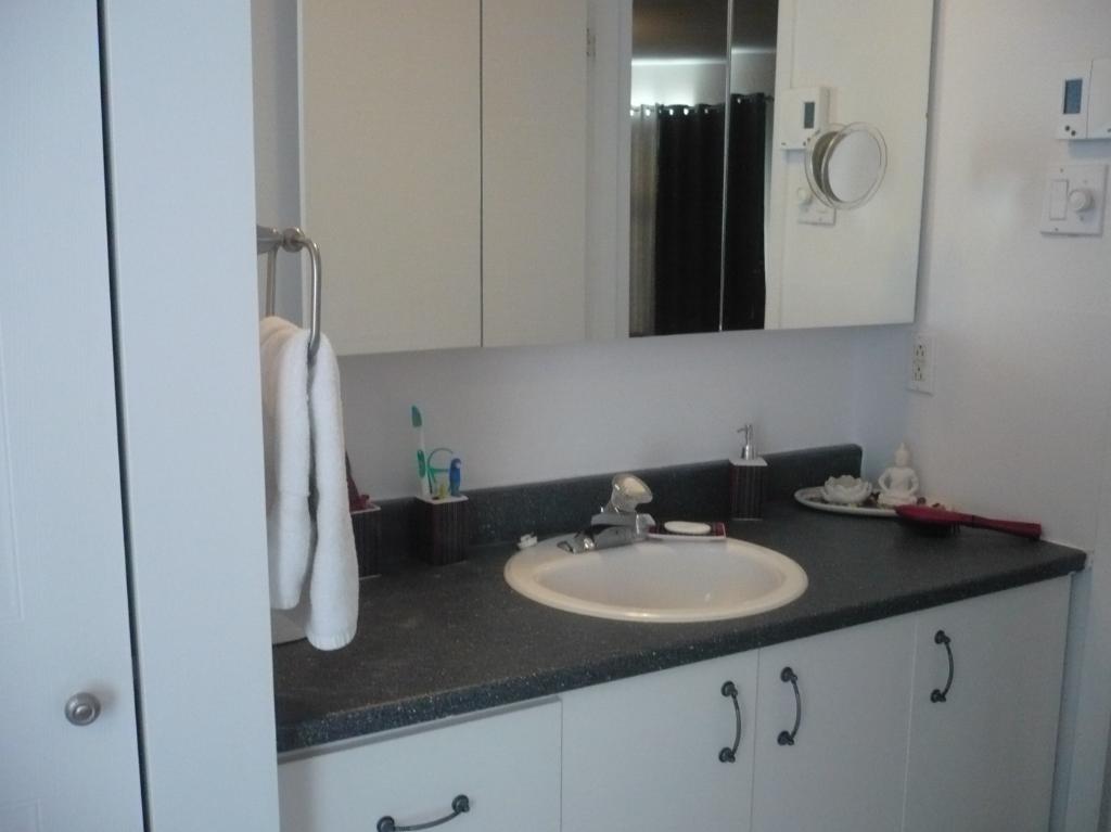 Grand 4½ Rue De Lery style condo Disponible 1 Octobre 2026 4