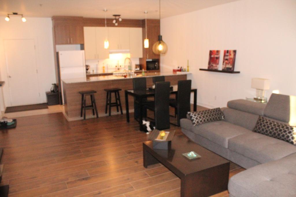 Baie Jolie Bord Du Fleuve 3 1/2 Disponible  1 Novembre 2026 3