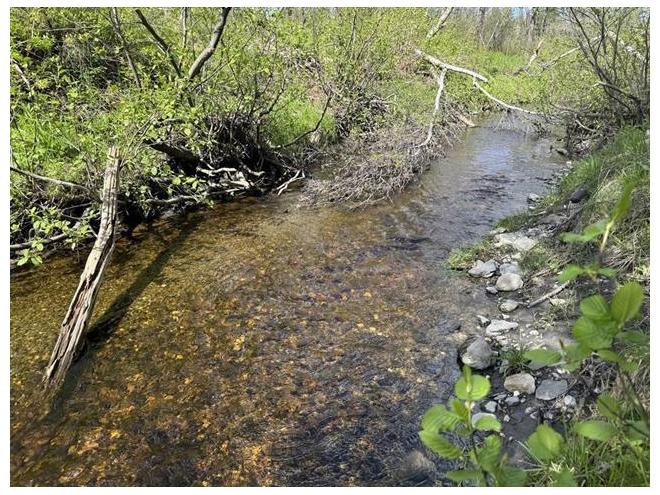 StePraxède, ChaudièreAppalaches. Grand terrain de 180 140 pi.ca. en — free download