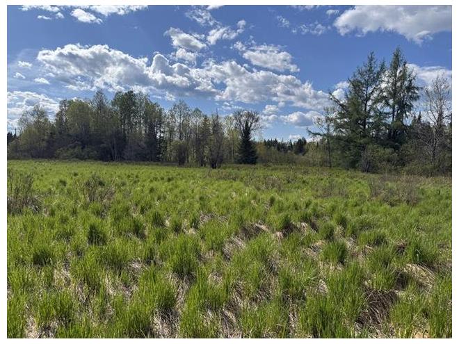 StePraxède, ChaudièreAppalaches. Grand terrain de 180 140 pi.ca. en — free download