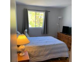 Chambre à louer